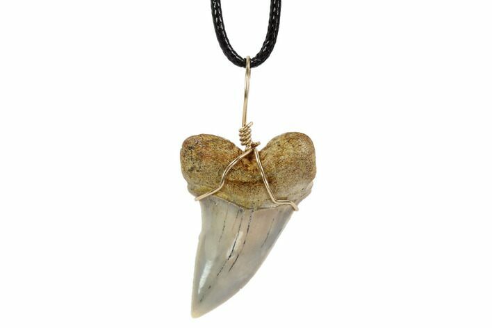 Fossil Mako Tooth Necklace - Bakersfield, California #95252